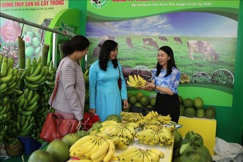 Tp Hồ Chí Minh tổ chức Hội chợ - Triển lãm Giống, Nông nghiệp công nghệ cao
