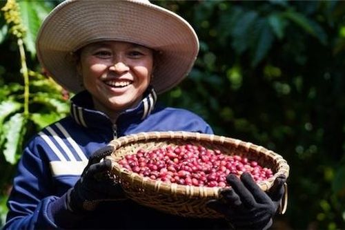 Ba khuyến nghị giúp doanh nghiệp vượt qua 'sự trỗi dậy' của bất bình đẳng