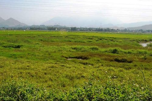 Tiếng lòng từ đất hoang