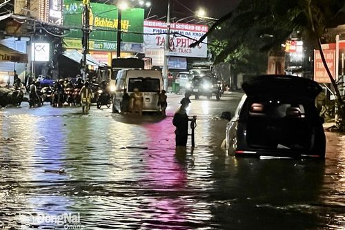 Không chỉ trông chờ vào các dự án chống ngập