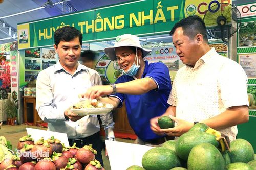Lễ hội Trái cây Long Khánh 2023: Hội tụ nhiều trái cây đặc sản của Đồng Nai