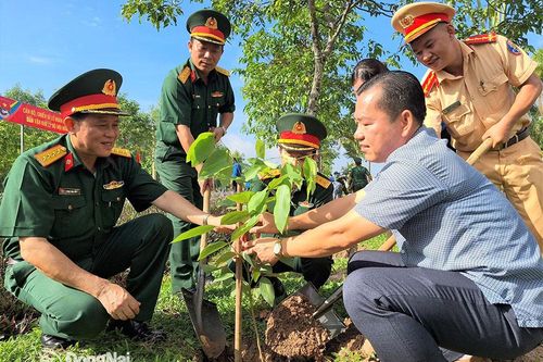 Khắp nơi trong tỉnh ngày 15-6-2023