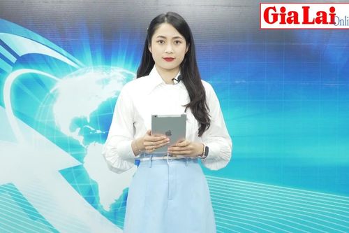 Gia Lai 24h: Thành phố Pleiku, Sở Thông tin và Truyền thông về nhất bảng xếp hạng mức độ chính quyền điện tử năm 2022