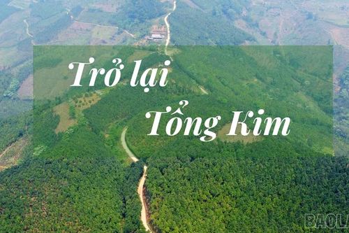 Trở lại Tổng Kim