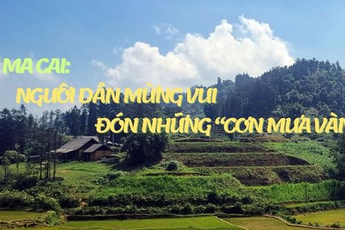 Si Ma Cai: Người dân mừng vui đón những 'cơn mưa vàng'