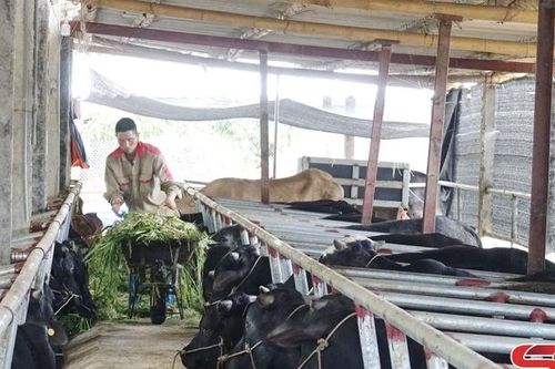 Kinh tế tuần hoàn - cơ hội phát triển nông nghiệp xanh