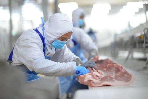 BaF Việt Nam: Đẩy mạnh chuỗi giá trị thịt heo 3F khép kín, doanh thu mảng chăn nuôi 2023 có thể tăng gấp 2,3 lần