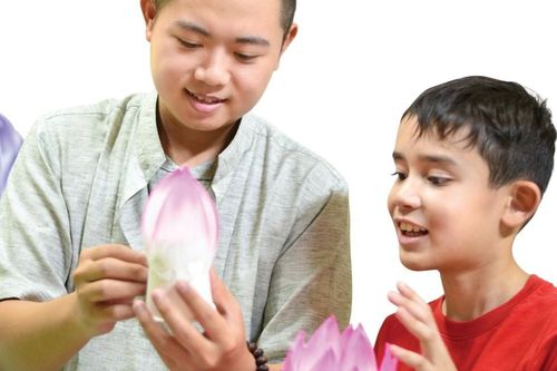Thêm một lần hoa nở