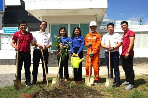 EVNHCMC: Triển khai nhiều hoạt động ý nghĩa vì môi trường