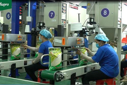 Xuất khẩu ngày 12-16/6: Xuất khẩu giảm, Việt Nam vẫn xuất siêu ấn tượng; vải Thanh Hóa 'lên đường' sang Nhật Bản và Anh