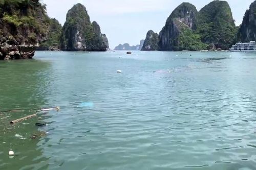 Bao giờ hết rác trên Vịnh Hạ Long?
