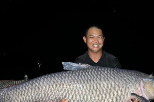 Bắt 'thủy quái' trắm đen nặng hơn 40kg ở Nghệ An