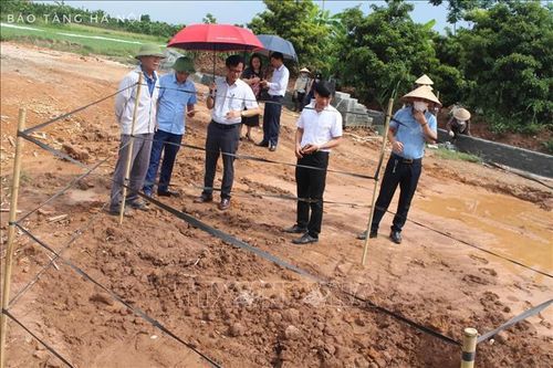 Hà Nội: Đề xuất khai quật khẩn cấp mộ gạch mới phát hiện tại huyện Đan Phượng