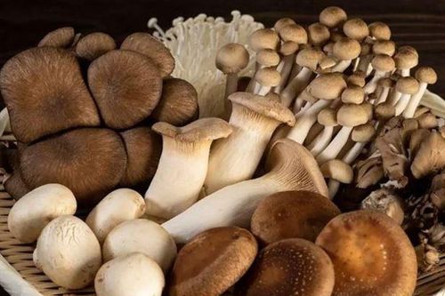 Mẹo chọn nấm tươi ngon, không hóa chất đảm bảo an toàn khi sử dụng