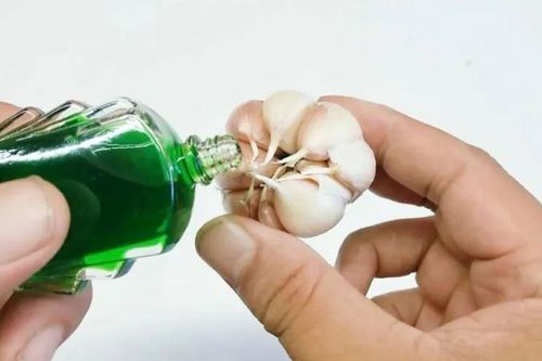 Nhỏ vài giọt dầu gió lên tỏi: Mẹo hay cả nam và nữ đều cần, biết công dụng rồi ai cũng muốn làm thử