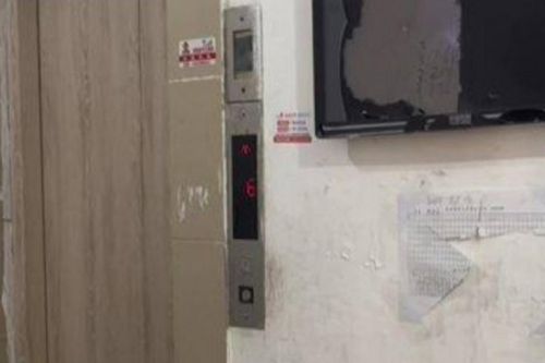 Người đàn ông nghe tiếng động lạ trong thang máy, mở ra thấy cảnh tượng rụng rời