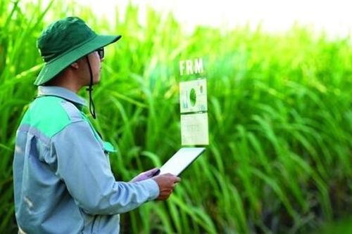 IFC và SMBC cung cấp khoản vay 40 triệu USD cho TTC AgriS