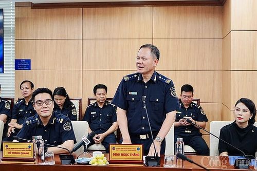 Hải quan TP. Hồ Chí Minh: Phát hiện hơn 1.160 vụ vi phạm, trị giá hàng hóa trên 1.466 tỷ đồng