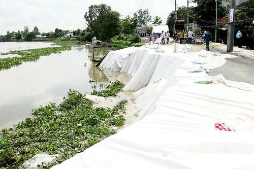 Tăng cường phòng, chống sạt lở