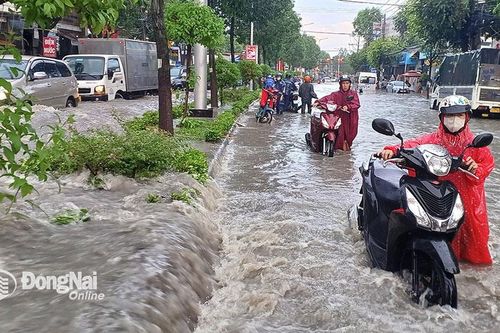 Bài 2: Cần giải pháp đồng bộ, căn cơ hơn