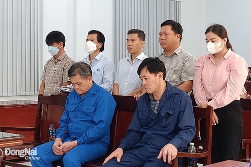 Tuyên án 7 bị cáo trong vụ lấy đất công cấp cho tư nhân ở huyện Long Thành