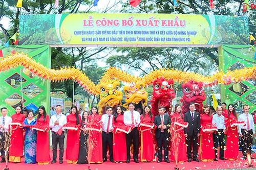 360 tấn sầu riêng đầu tiên xuất khẩu sang Trung Quốc