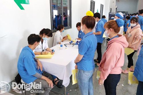 Rút công bố khám sức khỏe lái xe của 2 phòng khám tư nhân