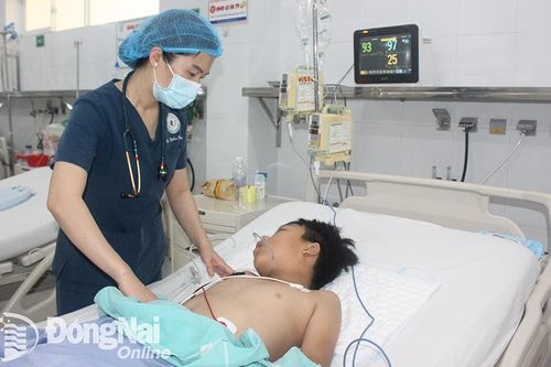 Sở Y tế cảnh báo về ngộ độc xác nhộng ve sầu