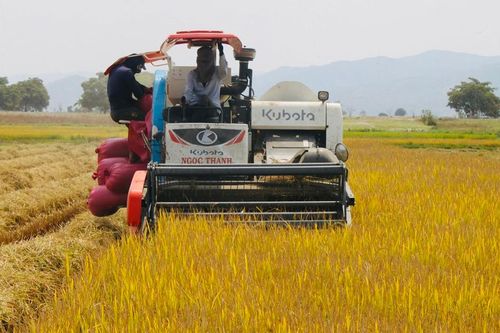 Phú Thiện đẩy mạnh liên kết nông dân với hợp tác xã