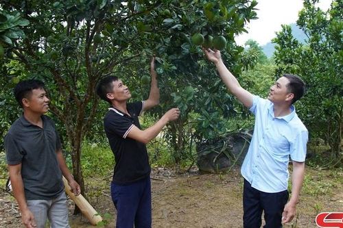 Mường Lang chuyển hướng sản xuất