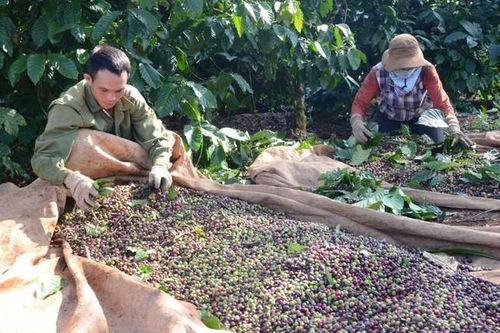 Kiện toàn lực lượng cốt cán trong giải quyết vấn đề bức xúc