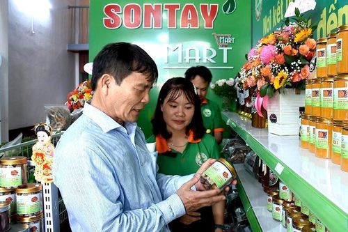 'Luồng gió mới' cho giảm nghèo ở vùng miền núi Sơn Tây
