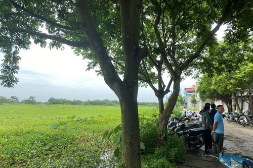 Việc tạo quỹ đất sạch để đấu giá tại xã Lê Lợi (Thường Tín): Đã giải quyết 'thấu lý'