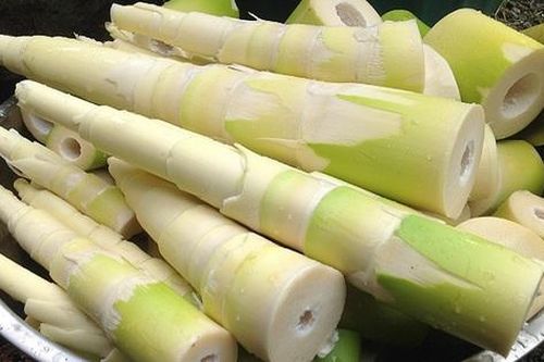 Uống nước măng chua, người phụ nữ ở Thái Nguyên hôn mê nguy kịch tính mạng