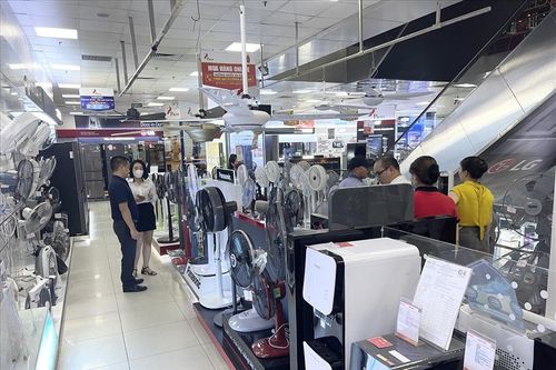 Phải làm gì để không bị cắt điện?
