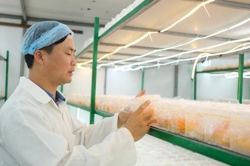 Vĩnh Phúc: Gỡ khó khăn trong cung ứng điện phục vụ sản xuất kinh doanh