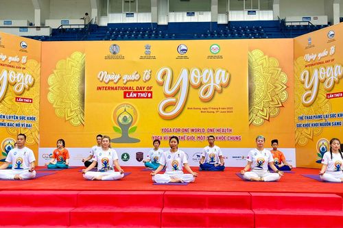 Bình Dương: Hơn 1.000 người tham gia đồng diễn Ngày Quốc tế Yoga