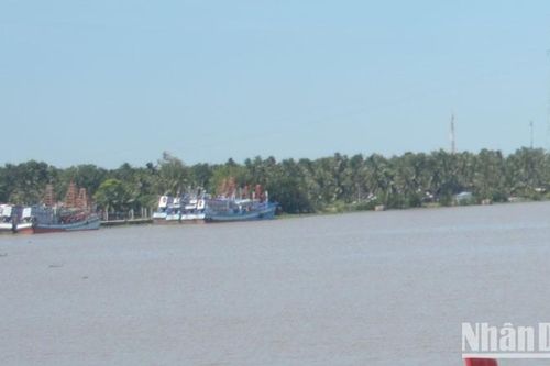 Kiên Giang: Vỏ composite va chạm với sà lan, 1 ngư dân rơi xuống biển tử vong