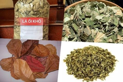 Những loại lá rụng đầy đường bất ngờ thành đặc sản 'tranh nhau mua'