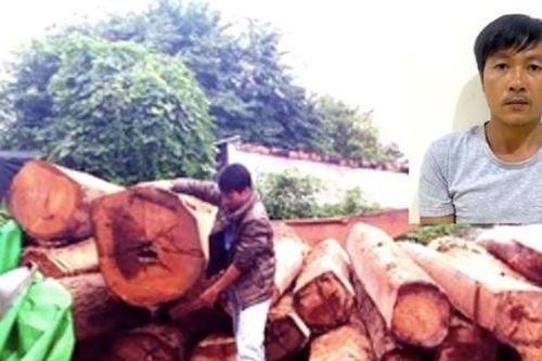 Bắt tài xế trong đường dây vận chuyển gỗ lậu do giang hồ khét tiếng ở Gia Lai cầm đầu