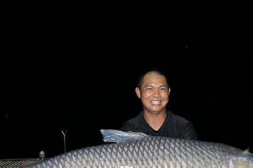 Đại gia chi 50 triệu đồng mua 'thủy quái' trắm đen hơn 40 kg