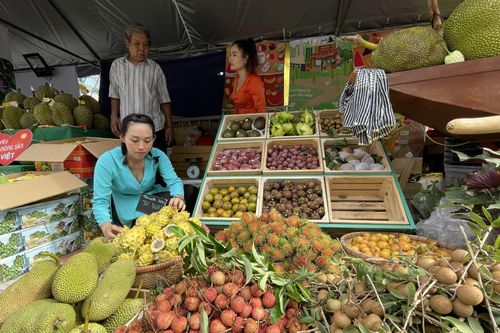 TP Hồ Chí Minh khai mạc Tuần lễ trái cây 'Trên bến dưới thuyền'