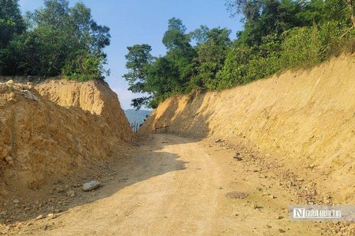 Sau phản ánh của Người Đưa Tin, chính quyền vào cuộc xử phạt 47,5 triệu đồng vì tự ý chuyển đổi đất rừng