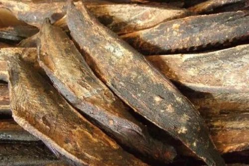 Món 'cá cứng như gỗ' giá hơn 1 triệu đồng/kg người Việt đổ xô mua là 'bí quyết trường thọ' của người Nhật