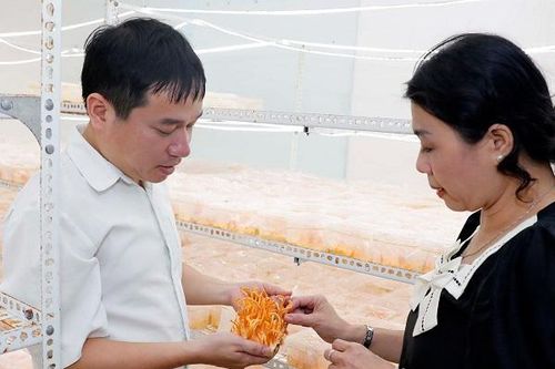 Thúc đẩy đầu tư khoa học công nghệ vào sản xuất