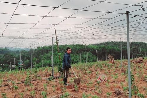 Thoát nghèo nhờ phát triển mô hình kinh tế tổng hợp tại quê nhà