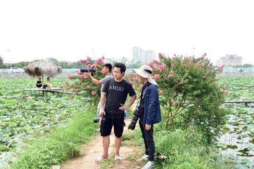 Thợ chụp ảnh thất thu vì sen Hồ Tây mất mùa