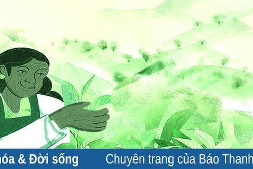 Nhớ vị chè xanh của nội