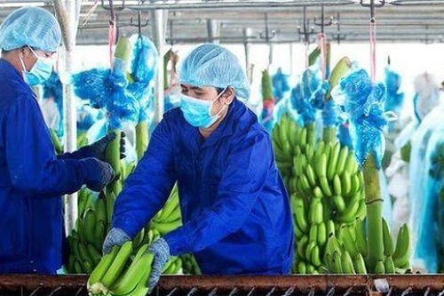 Nợ HAGL hơn 4.000 tỷ, Lê Me hoán đổi nợ thành công ty con