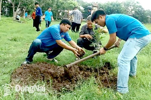 Tăng cường lãnh đạo, chỉ đạo xây dựng nông thôn mới
